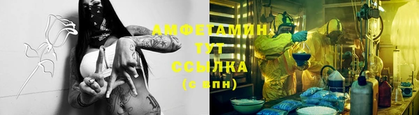 трава Абаза