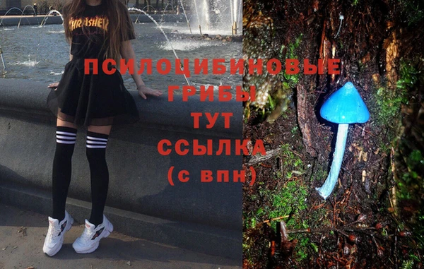 трава Абаза