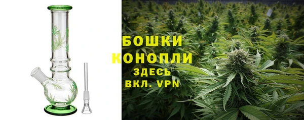шишки Алексеевка
