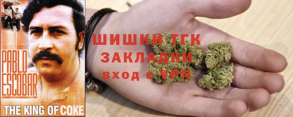 шишки Алексеевка