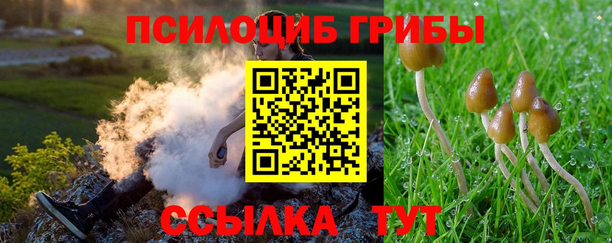 Галлюциногенные грибы MAGIC MUSHROOMS Тында